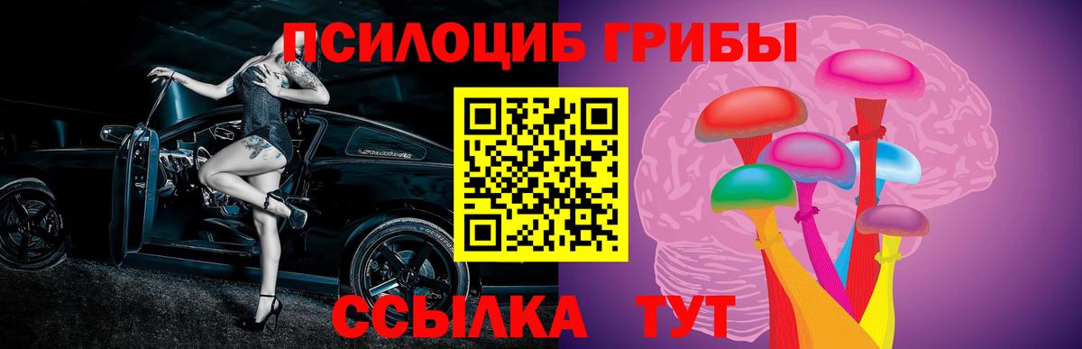 Галлюциногенные грибы GOLDEN TEACHER  Галлюциногенные грибы Cubensis  Сочи  Вход с VPN 